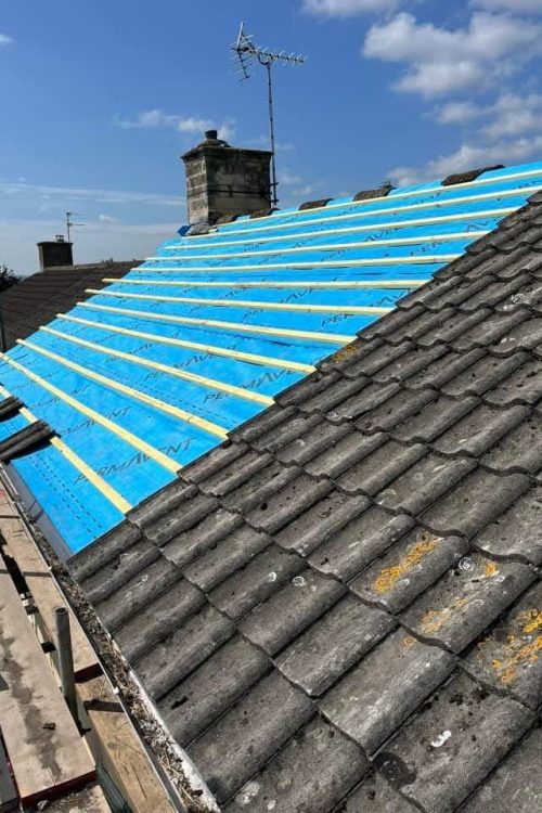 WhatsApp Image 2026-02-17 at 22.21.16