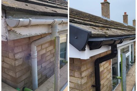 WhatsApp Image 2026-02-17 at 22.21.27